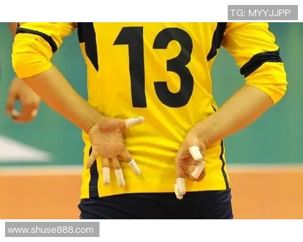 对话杨静：回顾排球生涯的辉煌与挑战分享